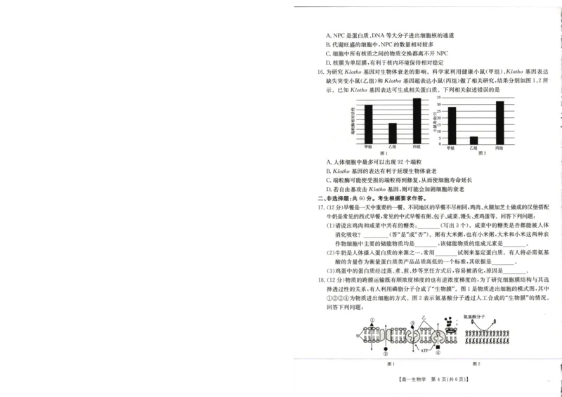 广西壮族自治区崇左市2024-2025学年高一上学期1月期末考试生物学试卷_2025年02月试卷_0206广西壮族自治区崇左市2024-2025学年高一上学期1月期末考试