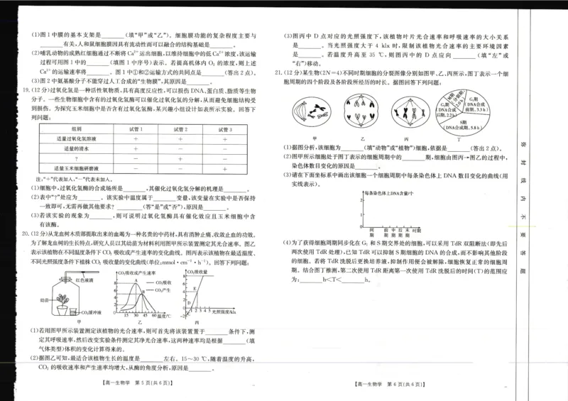 广西壮族自治区崇左市2024-2025学年高一上学期1月期末考试生物学试卷_2025年02月试卷_0206广西壮族自治区崇左市2024-2025学年高一上学期1月期末考试