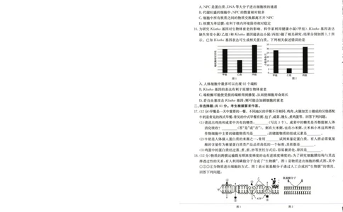 广西壮族自治区崇左市2024-2025学年高一上学期1月期末考试生物学试卷_2025年02月试卷_0206广西壮族自治区崇左市2024-2025学年高一上学期1月期末考试