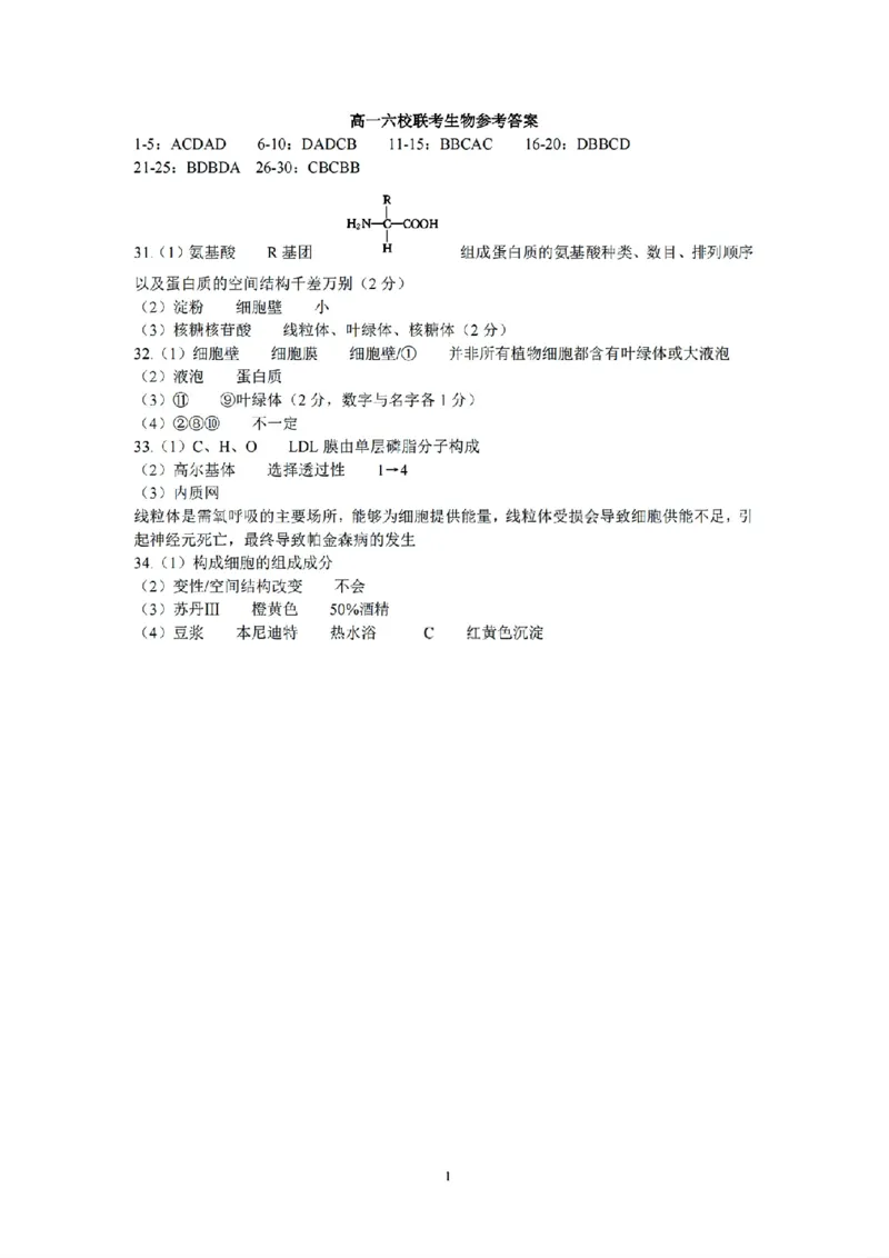 扫描件_生物参考答案_2025年10月高一试卷_251013浙江省六校联盟2025-2026学年高一上学期10月月考_浙江省六校联盟2025-2026学年高一上学期10月月考生物试题（含答案）