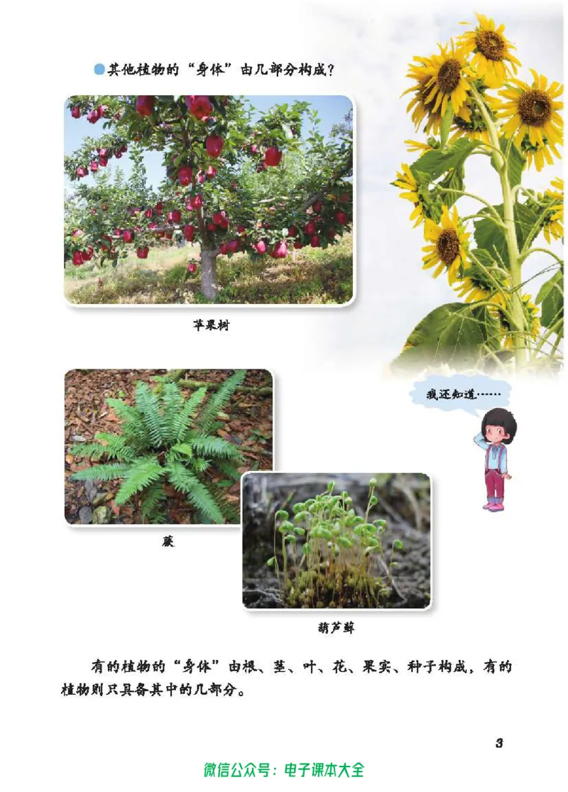 五制三上教材_电子课本_小学电子课本_05科学_青岛版（63、54版）_小学科学青岛五四制1-5上册