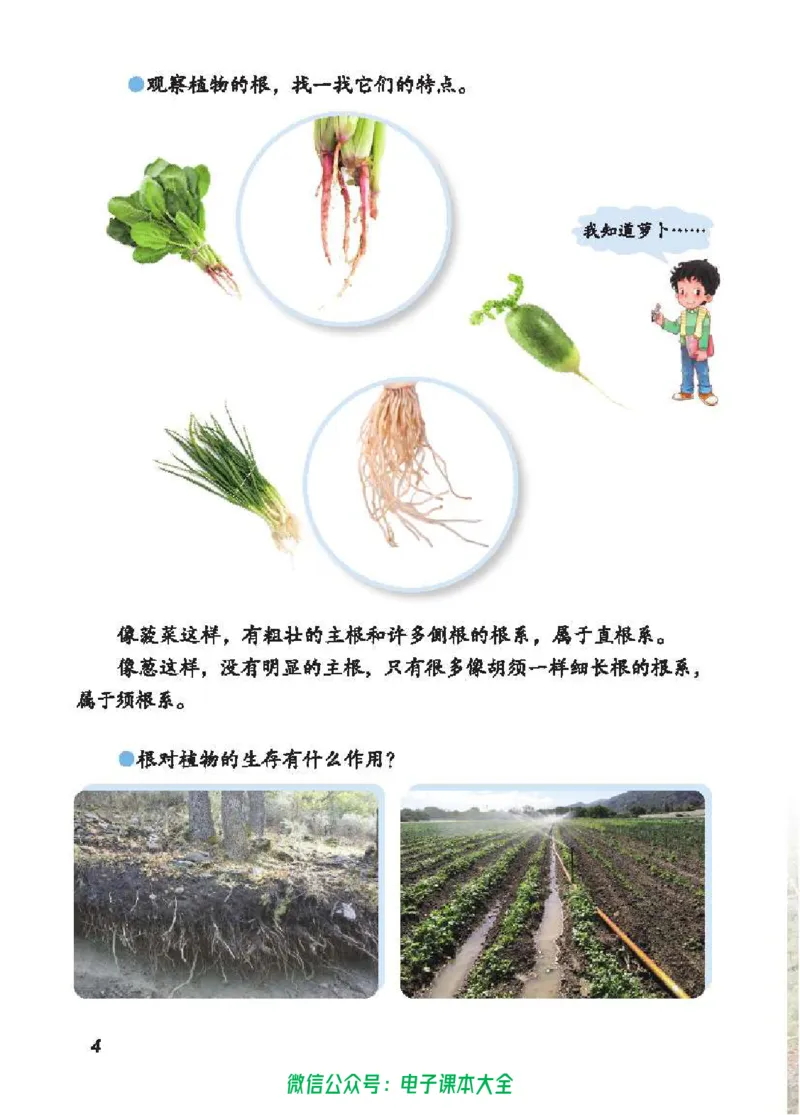 五制三上教材_电子课本_小学电子课本_05科学_青岛版（63、54版）_小学科学青岛五四制1-5上册