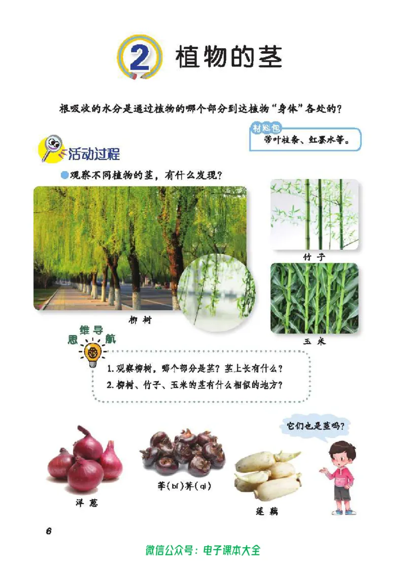 五制三上教材_电子课本_小学电子课本_05科学_青岛版（63、54版）_小学科学青岛五四制1-5上册