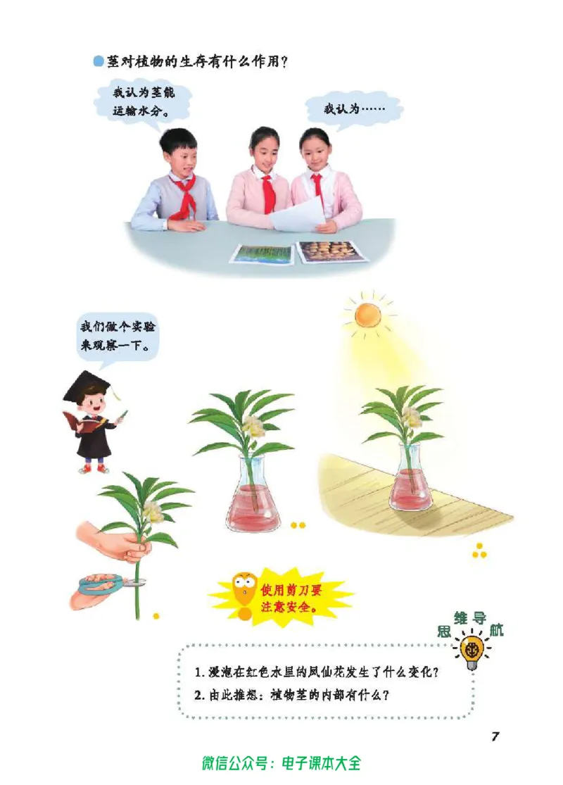 五制三上教材_电子课本_小学电子课本_05科学_青岛版（63、54版）_小学科学青岛五四制1-5上册