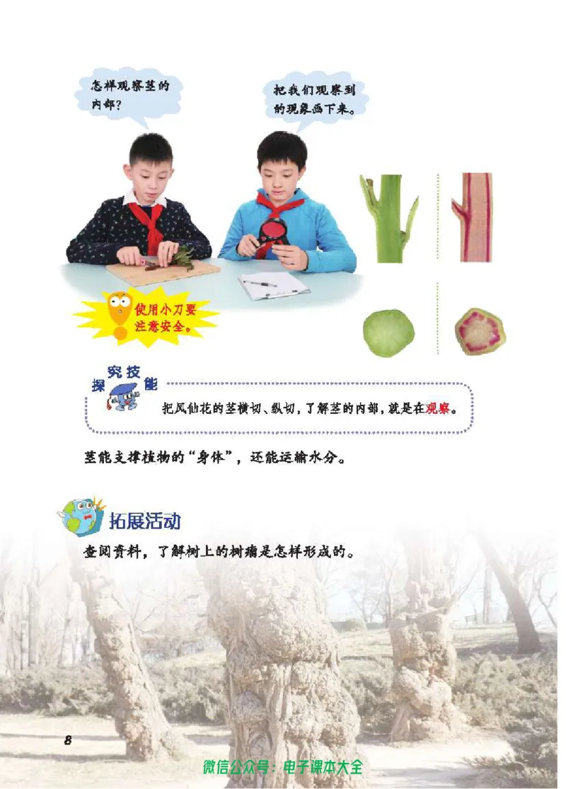 五制三上教材_电子课本_小学电子课本_05科学_青岛版（63、54版）_小学科学青岛五四制1-5上册