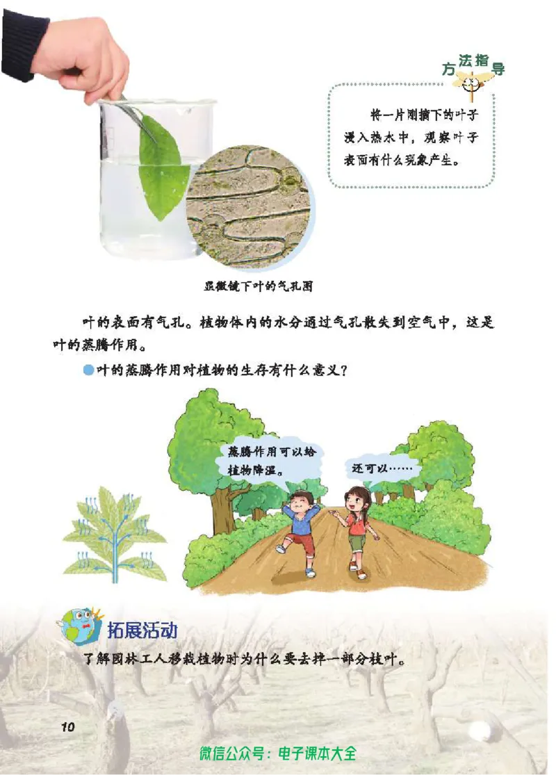 五制三上教材_电子课本_小学电子课本_05科学_青岛版（63、54版）_小学科学青岛五四制1-5上册