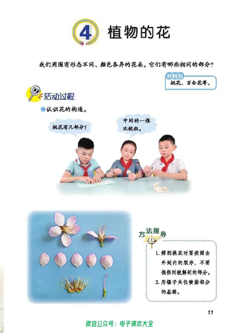 五制三上教材_电子课本_小学电子课本_05科学_青岛版（63、54版）_小学科学青岛五四制1-5上册