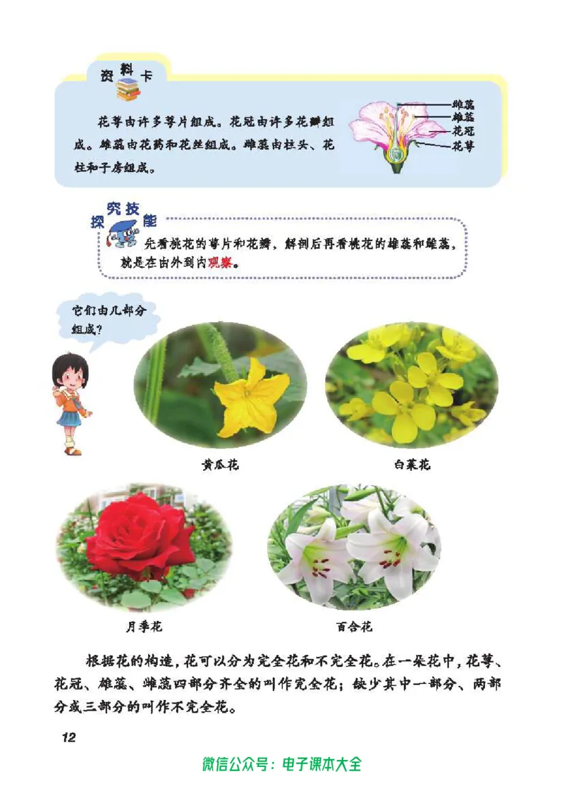 五制三上教材_电子课本_小学电子课本_05科学_青岛版（63、54版）_小学科学青岛五四制1-5上册
