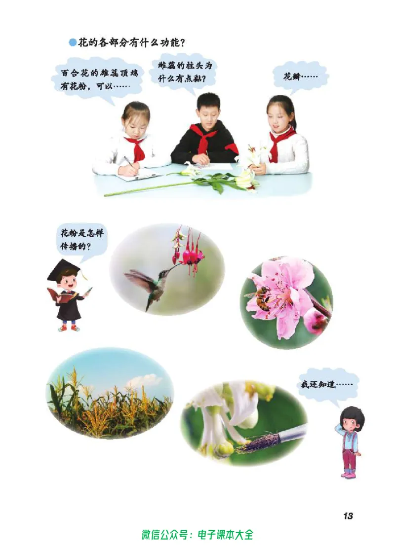 五制三上教材_电子课本_小学电子课本_05科学_青岛版（63、54版）_小学科学青岛五四制1-5上册