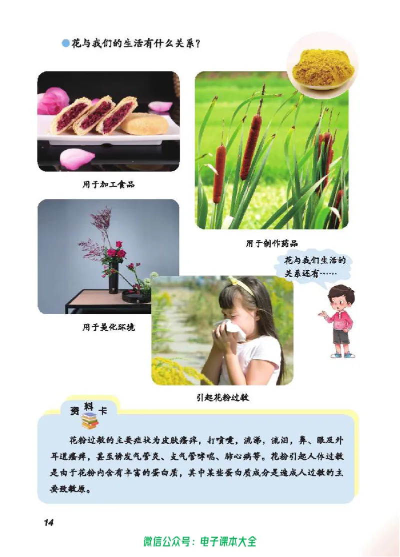 五制三上教材_电子课本_小学电子课本_05科学_青岛版（63、54版）_小学科学青岛五四制1-5上册
