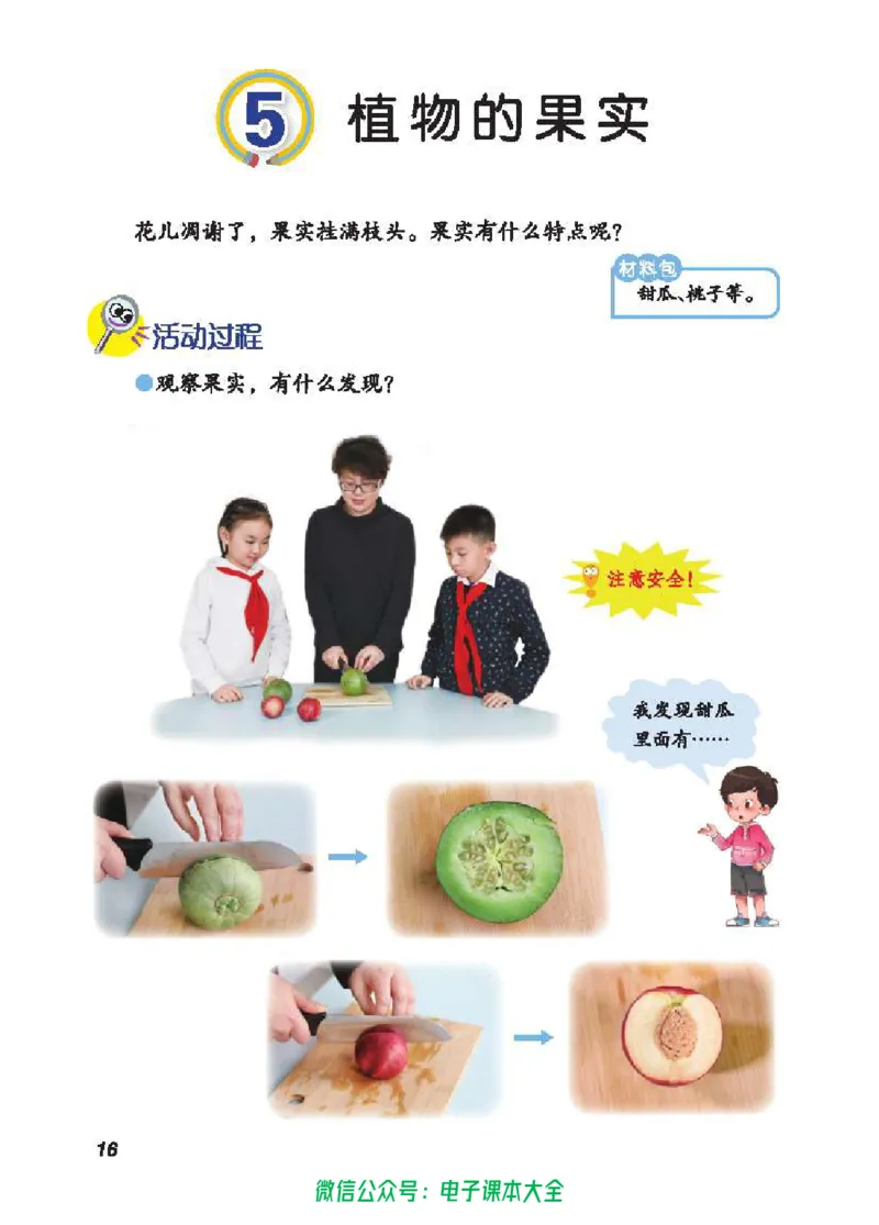 五制三上教材_电子课本_小学电子课本_05科学_青岛版（63、54版）_小学科学青岛五四制1-5上册