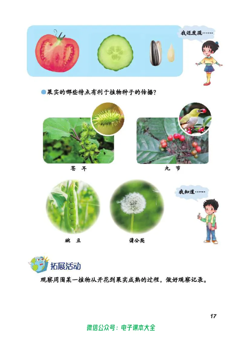 五制三上教材_电子课本_小学电子课本_05科学_青岛版（63、54版）_小学科学青岛五四制1-5上册