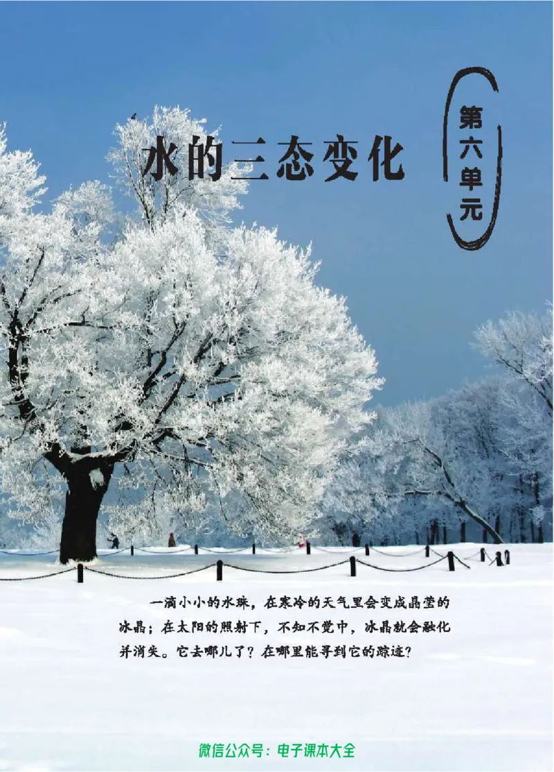 五制三上教材_电子课本_小学电子课本_05科学_青岛版（63、54版）_小学科学青岛五四制1-5上册