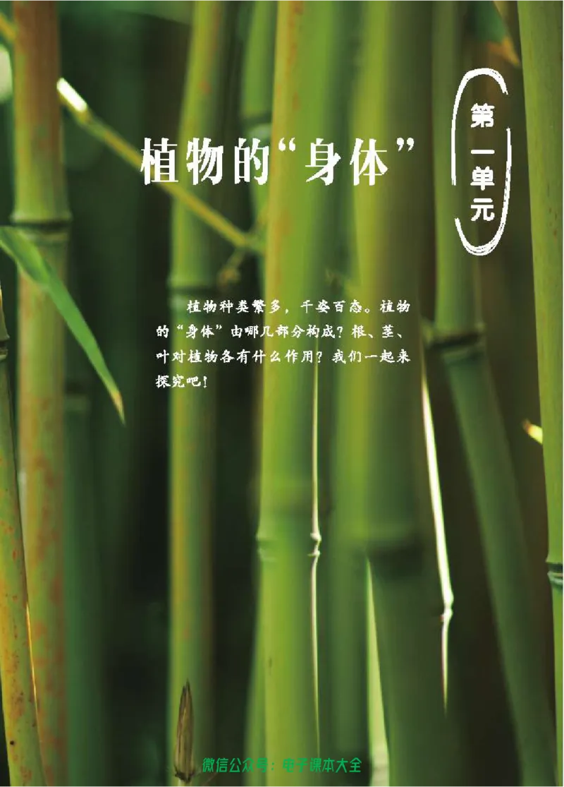 五制三上教材_电子课本_小学电子课本_05科学_青岛版（63、54版）_小学科学青岛五四制1-5上册