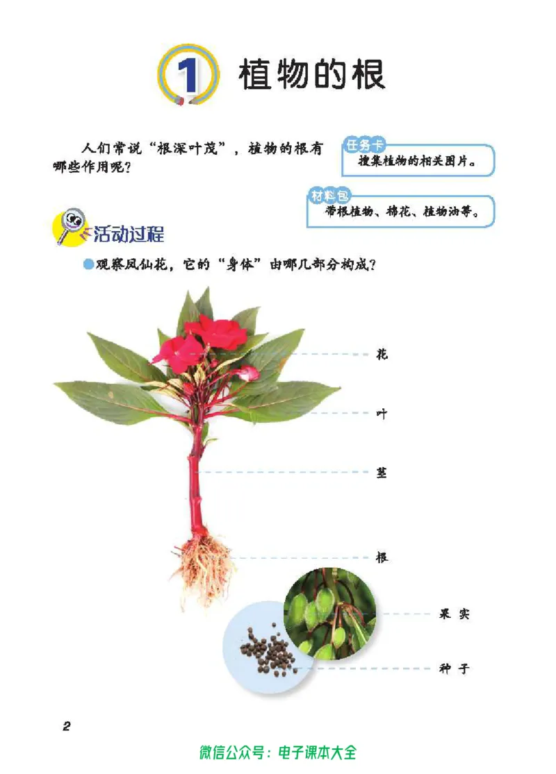 五制三上教材_电子课本_小学电子课本_05科学_青岛版（63、54版）_小学科学青岛五四制1-5上册