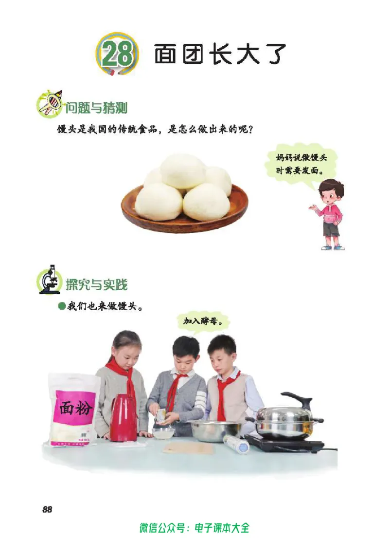 五制三上教材_电子课本_小学电子课本_05科学_青岛版（63、54版）_小学科学青岛五四制1-5上册