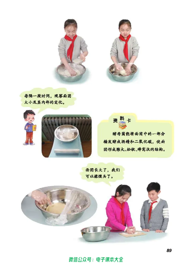 五制三上教材_电子课本_小学电子课本_05科学_青岛版（63、54版）_小学科学青岛五四制1-5上册