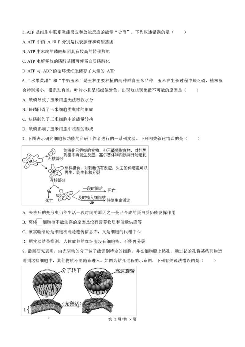 广西玉林市2024-2025学年高一上学期期末教学质量检测生物试卷Word版无答案_2025年03月试卷_0305广西玉林市2024-2025学年高一上学期1月期末考试