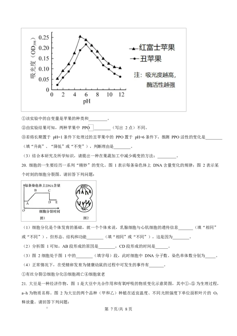 广西玉林市2024-2025学年高一上学期期末教学质量检测生物试卷Word版无答案_2025年03月试卷_0305广西玉林市2024-2025学年高一上学期1月期末考试