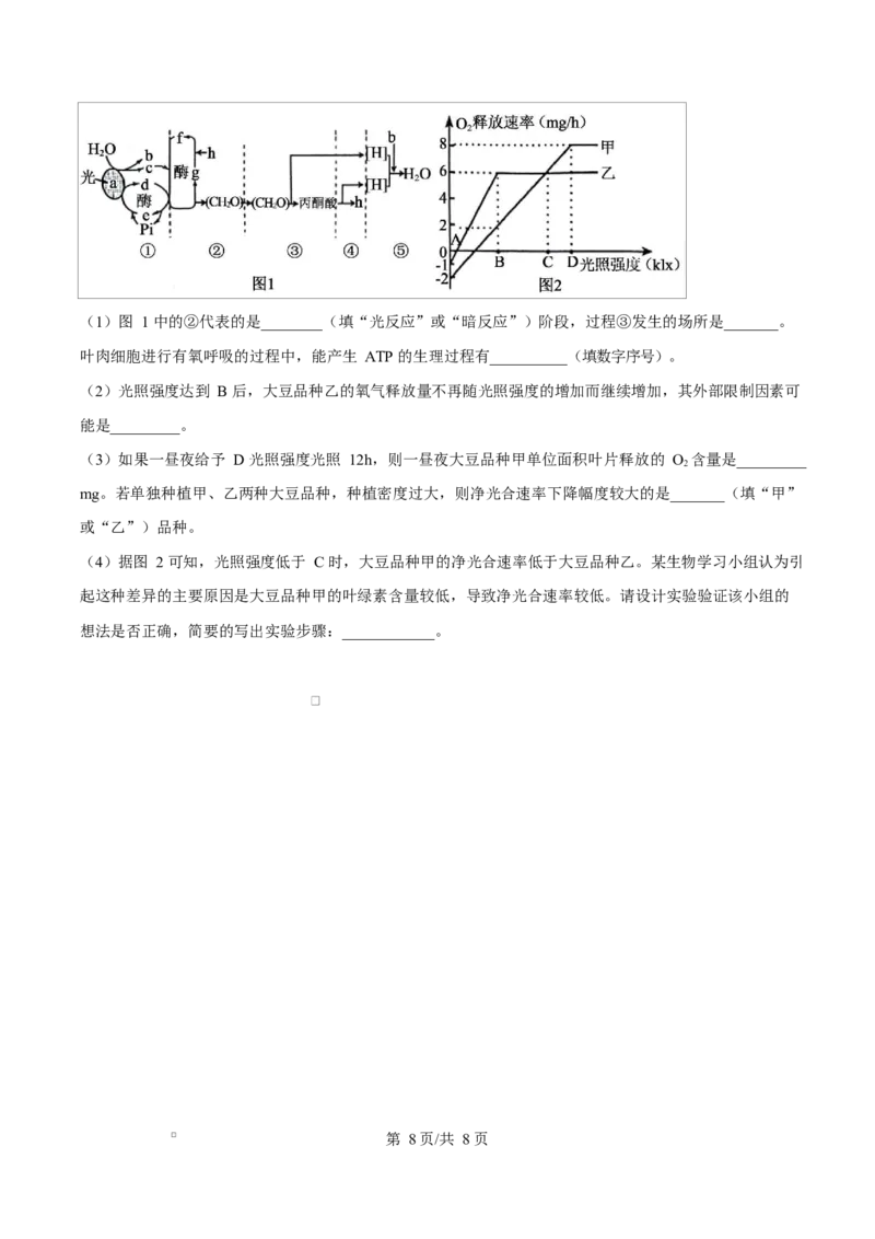 广西玉林市2024-2025学年高一上学期期末教学质量检测生物试卷Word版无答案_2025年03月试卷_0305广西玉林市2024-2025学年高一上学期1月期末考试