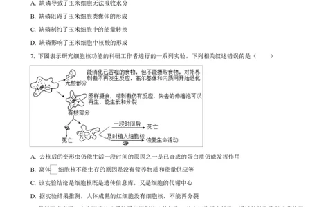 广西玉林市2024-2025学年高一上学期期末教学质量检测生物试卷Word版无答案_2025年03月试卷_0305广西玉林市2024-2025学年高一上学期1月期末考试