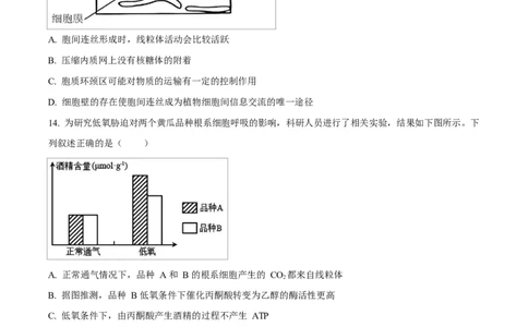 广西玉林市2024-2025学年高一上学期期末教学质量检测生物试卷Word版无答案_2025年03月试卷_0305广西玉林市2024-2025学年高一上学期1月期末考试