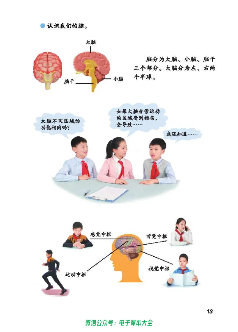 五制五下教材_电子课本_小学电子课本_05科学_青岛版（63、54版）_小学科学青岛五四制1-5下册