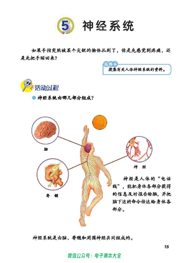 五制五下教材_电子课本_小学电子课本_05科学_青岛版（63、54版）_小学科学青岛五四制1-5下册