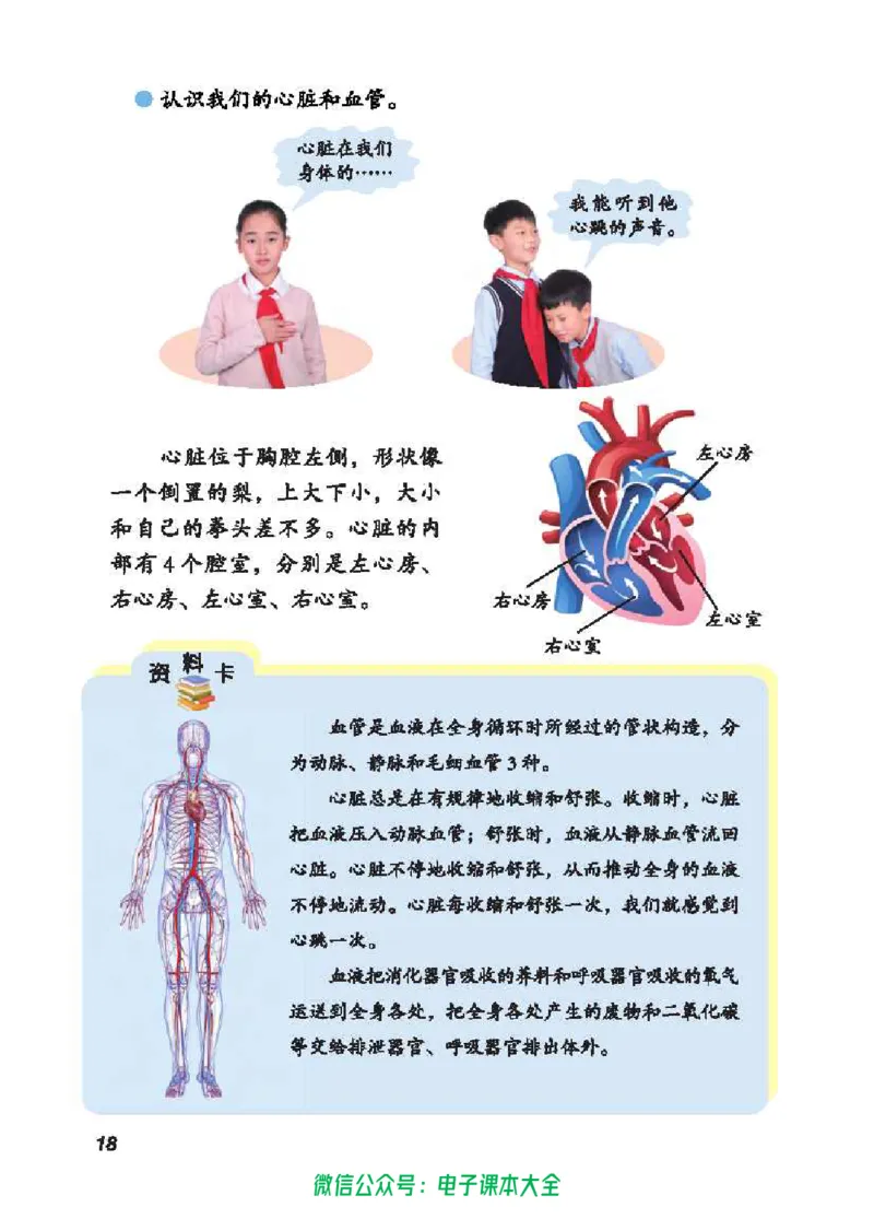五制五下教材_电子课本_小学电子课本_05科学_青岛版（63、54版）_小学科学青岛五四制1-5下册