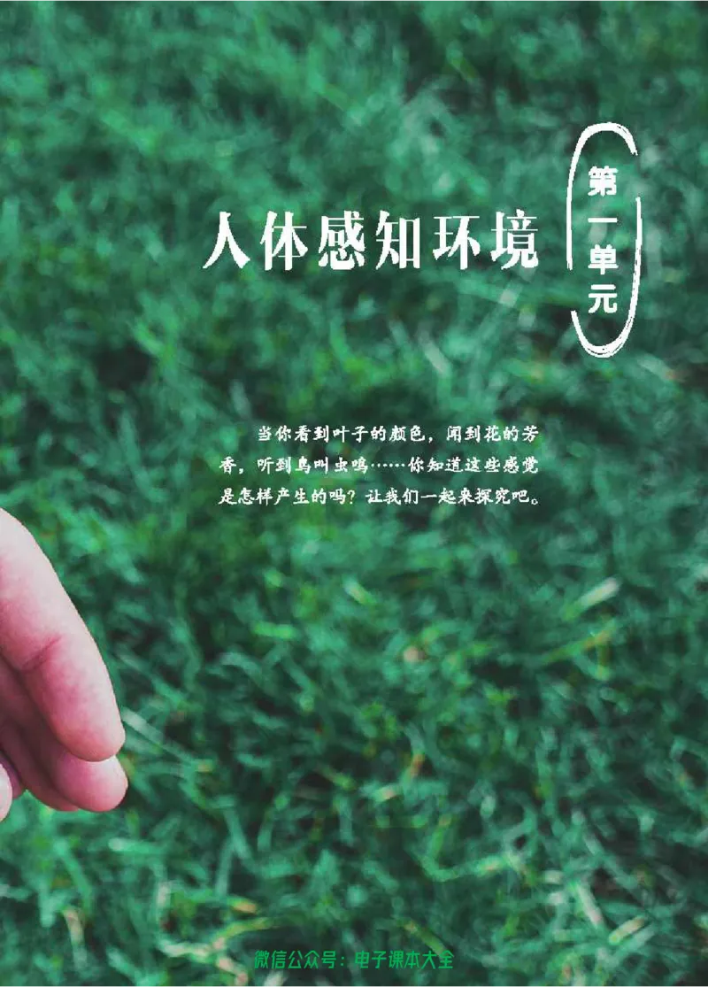 五制五下教材_电子课本_小学电子课本_05科学_青岛版（63、54版）_小学科学青岛五四制1-5下册