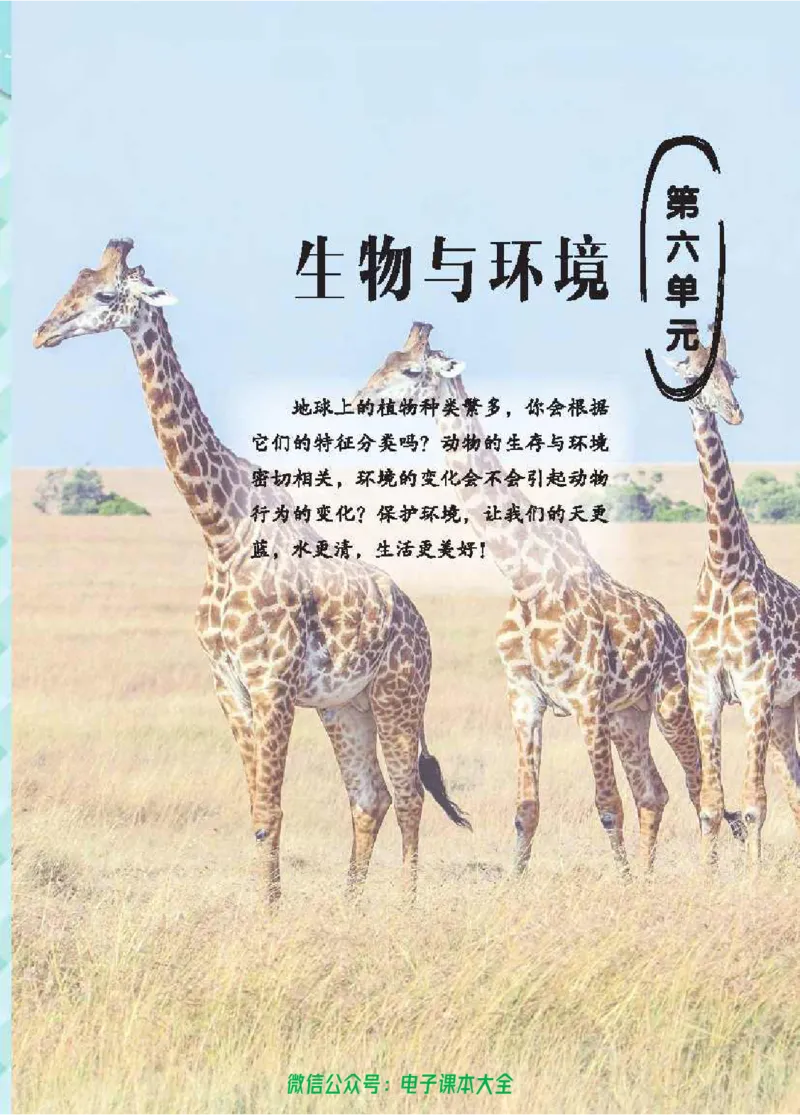 五制五下教材_电子课本_小学电子课本_05科学_青岛版（63、54版）_小学科学青岛五四制1-5下册