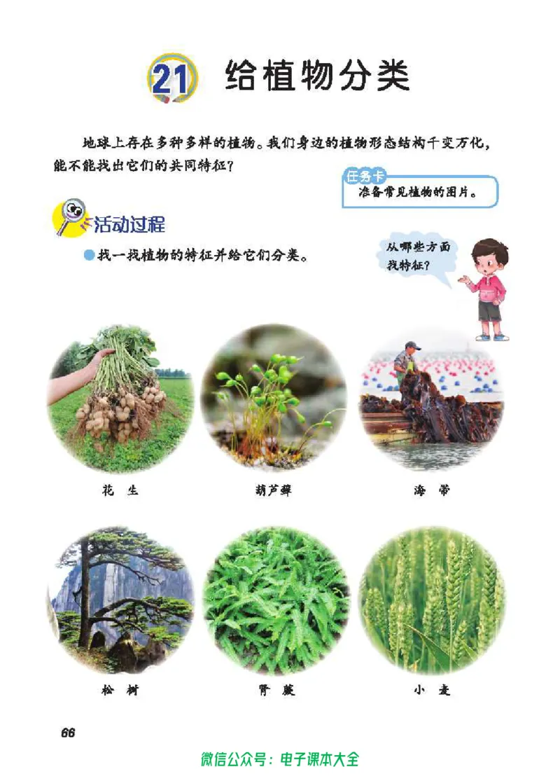五制五下教材_电子课本_小学电子课本_05科学_青岛版（63、54版）_小学科学青岛五四制1-5下册
