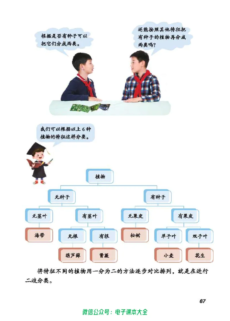 五制五下教材_电子课本_小学电子课本_05科学_青岛版（63、54版）_小学科学青岛五四制1-5下册