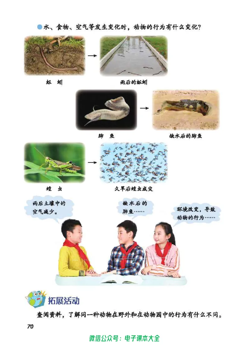 五制五下教材_电子课本_小学电子课本_05科学_青岛版（63、54版）_小学科学青岛五四制1-5下册