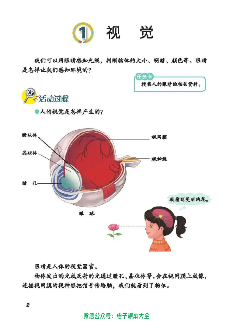 五制五下教材_电子课本_小学电子课本_05科学_青岛版（63、54版）_小学科学青岛五四制1-5下册