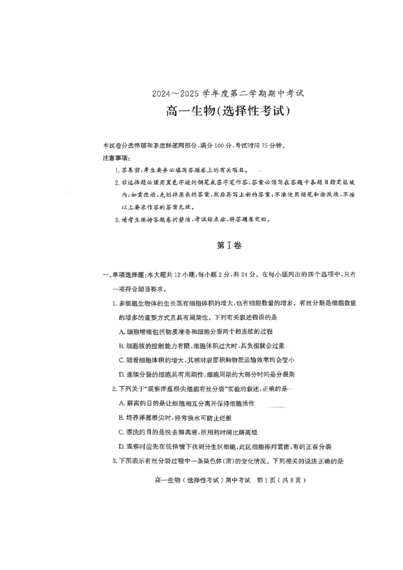 广东省茂名市电白区2024--2025学年高一下学期期中考试生物试题_2025年05月试卷_0519广东省茂名市电白区2024-2025学年高一下学期期中考试