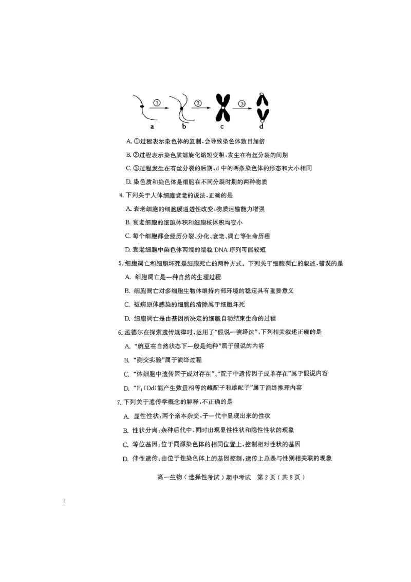 广东省茂名市电白区2024--2025学年高一下学期期中考试生物试题_2025年05月试卷_0519广东省茂名市电白区2024-2025学年高一下学期期中考试