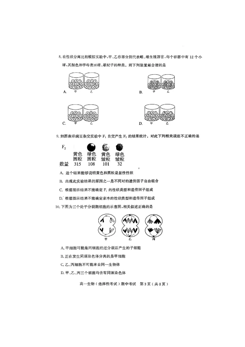 广东省茂名市电白区2024--2025学年高一下学期期中考试生物试题_2025年05月试卷_0519广东省茂名市电白区2024-2025学年高一下学期期中考试