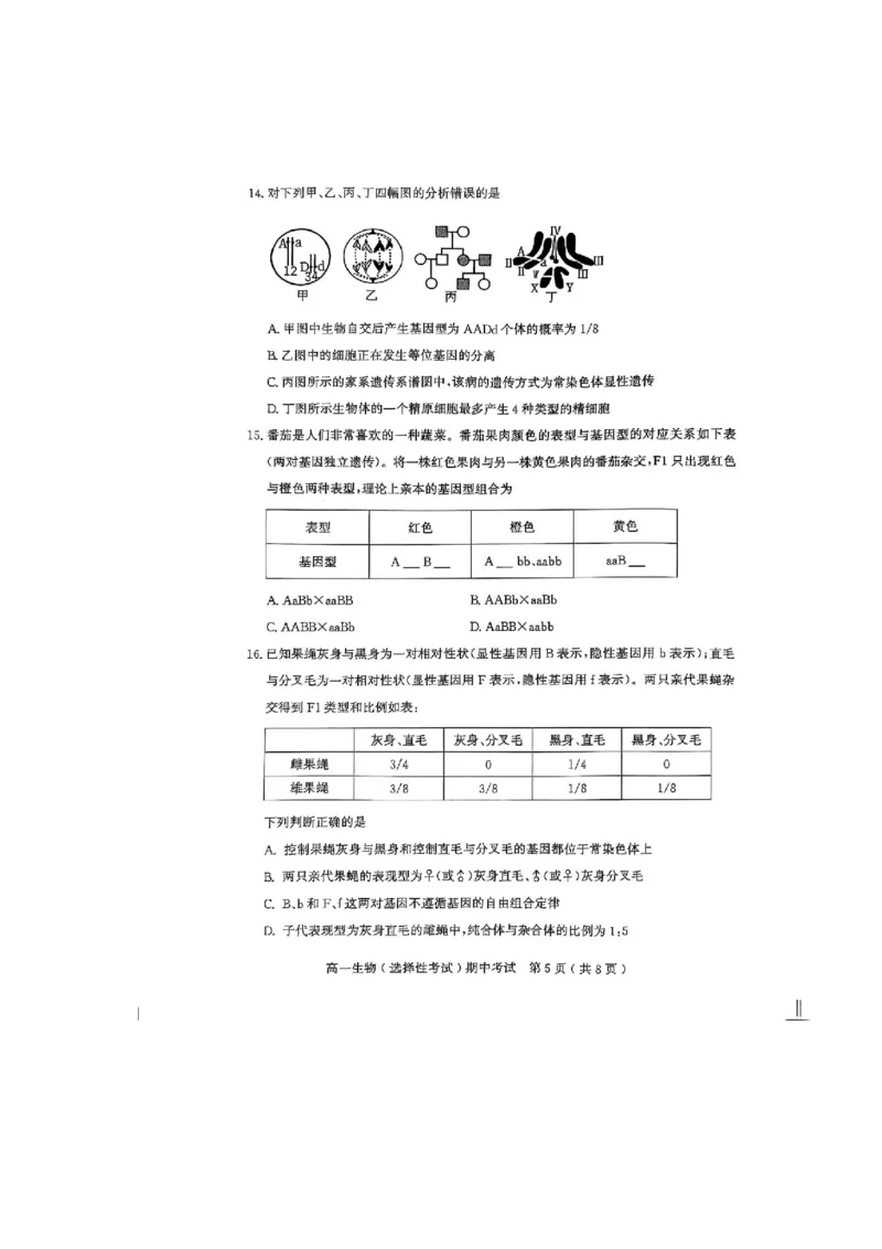 广东省茂名市电白区2024--2025学年高一下学期期中考试生物试题_2025年05月试卷_0519广东省茂名市电白区2024-2025学年高一下学期期中考试