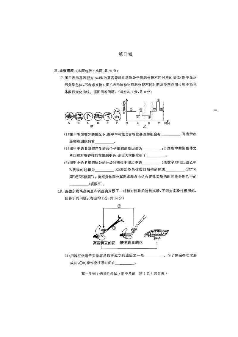 广东省茂名市电白区2024--2025学年高一下学期期中考试生物试题_2025年05月试卷_0519广东省茂名市电白区2024-2025学年高一下学期期中考试