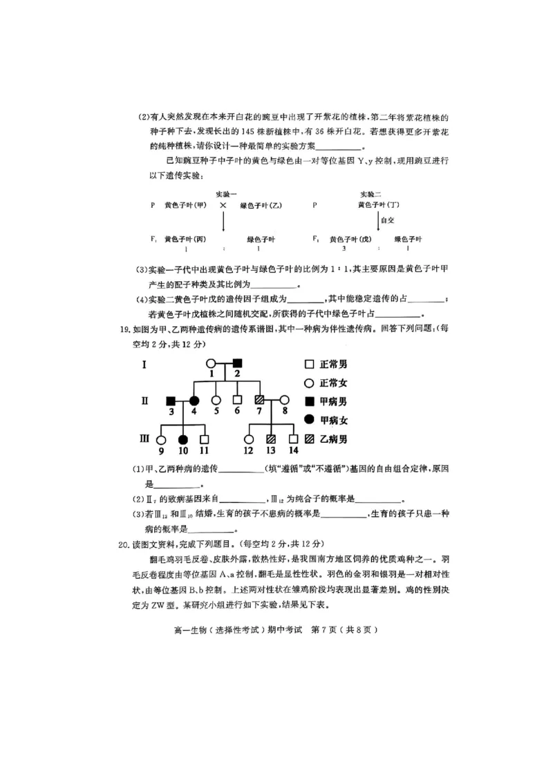 广东省茂名市电白区2024--2025学年高一下学期期中考试生物试题_2025年05月试卷_0519广东省茂名市电白区2024-2025学年高一下学期期中考试