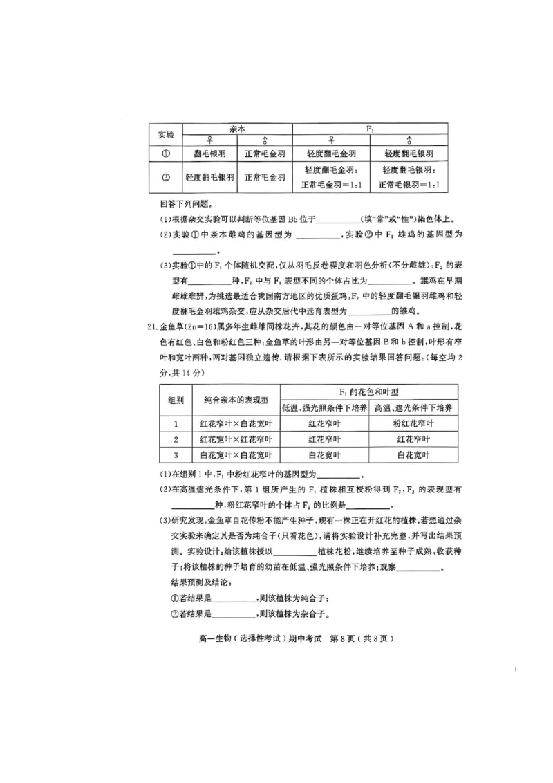 广东省茂名市电白区2024--2025学年高一下学期期中考试生物试题_2025年05月试卷_0519广东省茂名市电白区2024-2025学年高一下学期期中考试