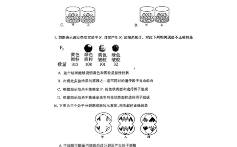 广东省茂名市电白区2024--2025学年高一下学期期中考试生物试题_2025年05月试卷_0519广东省茂名市电白区2024-2025学年高一下学期期中考试