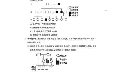 广东省茂名市电白区2024--2025学年高一下学期期中考试生物试题_2025年05月试卷_0519广东省茂名市电白区2024-2025学年高一下学期期中考试