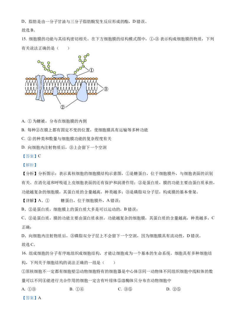 广西壮族自治区玉林市2024-2025学年高一上学期11月期中生物试题Word版含解析_2024年12月试卷_1214广西壮族自治区玉林市2024-2025学年高一上学期11月期中考试