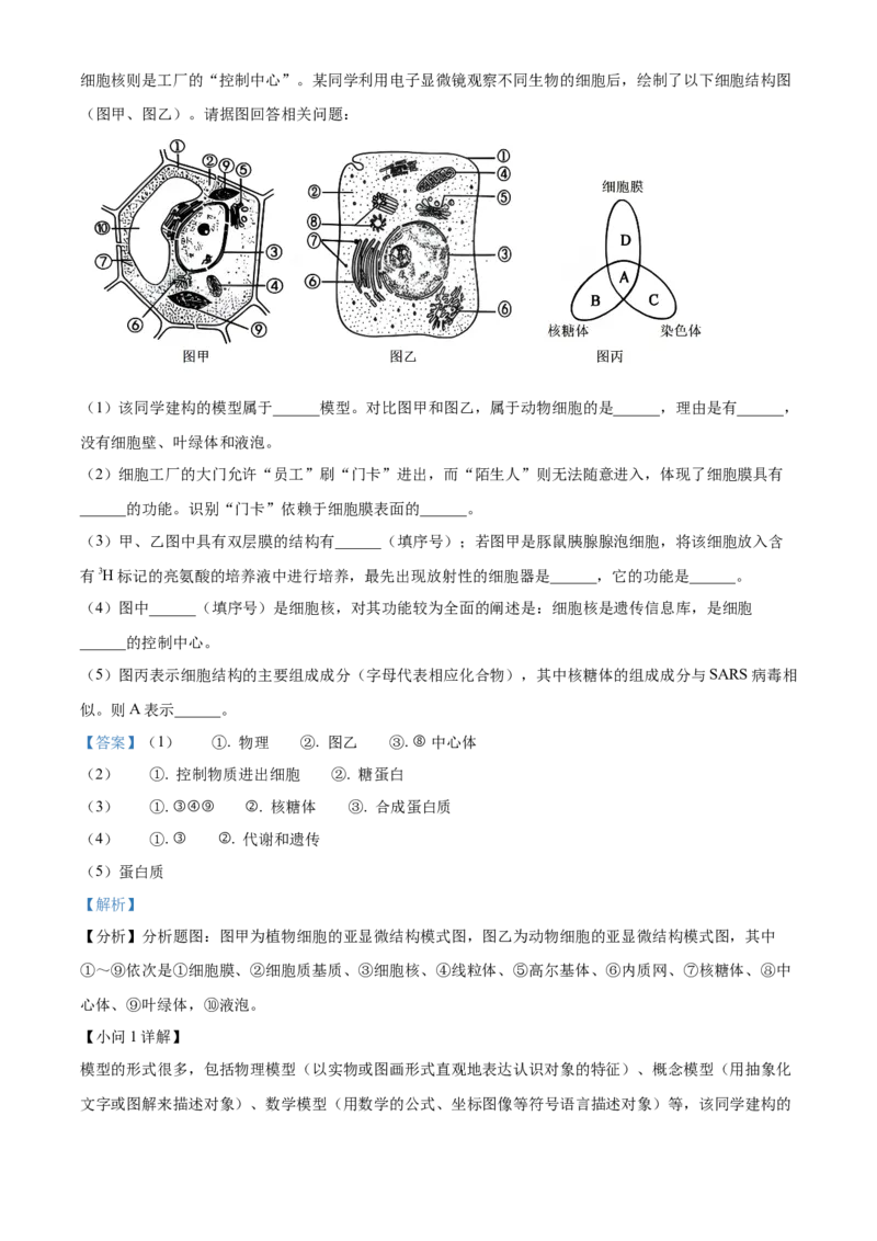 广西壮族自治区玉林市2024-2025学年高一上学期11月期中生物试题Word版含解析_2024年12月试卷_1214广西壮族自治区玉林市2024-2025学年高一上学期11月期中考试