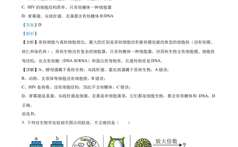 广西壮族自治区玉林市2024-2025学年高一上学期11月期中生物试题Word版含解析_2024年12月试卷_1214广西壮族自治区玉林市2024-2025学年高一上学期11月期中考试
