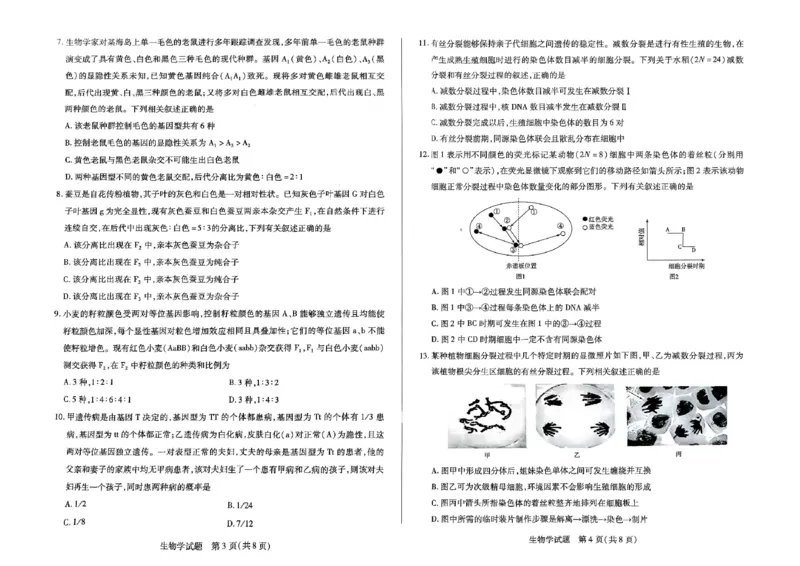 扫描件_生物_2025年03月试卷_0325河南省创新发展联盟2024-2025学年高一下学期3月月考_河南省创新发展联盟2024-2025学年高一下学期3月月考生物试题