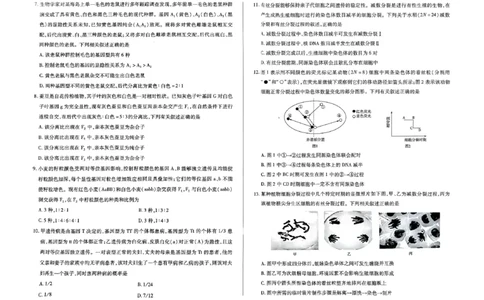 扫描件_生物_2025年03月试卷_0325河南省创新发展联盟2024-2025学年高一下学期3月月考_河南省创新发展联盟2024-2025学年高一下学期3月月考生物试题