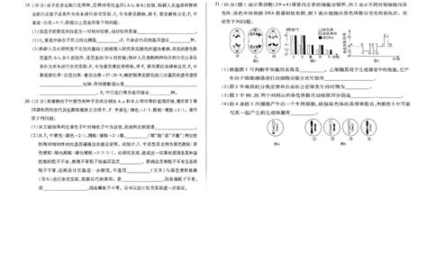 扫描件_生物_2025年03月试卷_0325河南省创新发展联盟2024-2025学年高一下学期3月月考_河南省创新发展联盟2024-2025学年高一下学期3月月考生物试题